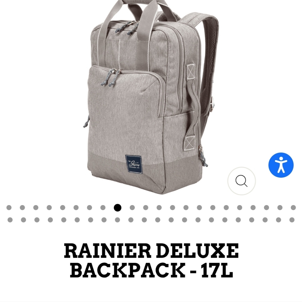 The Skyway Luggage co The Rainer Collection Deluxe Backpack GRAY-17L